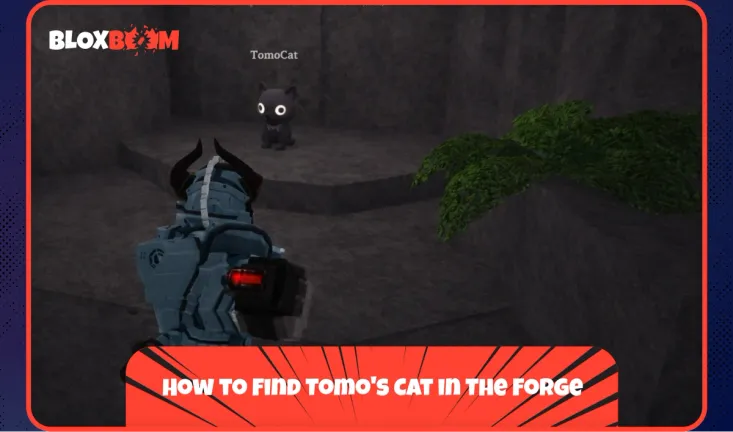 How to Find Tomo's Cat in The Forge