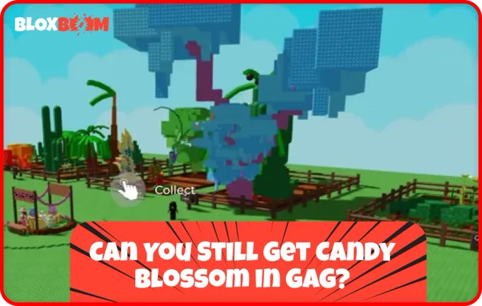 Can You Still Get Candy Blossom in GaG?