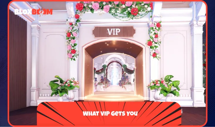 What VIP Gets You