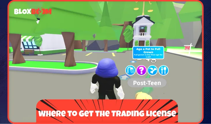 Where to Get the Trading License