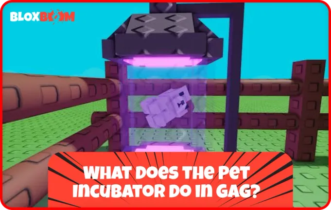 What Does the Pet Incubator Do in GAG?