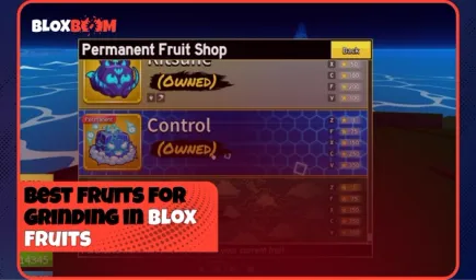 Best Fruits for Grinding in Blox Fruits