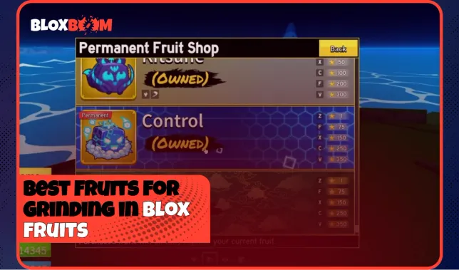 Best Fruits for Grinding in Blox Fruits