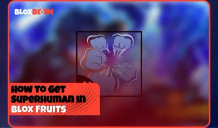How to Get Superhuman in Blox Fruits