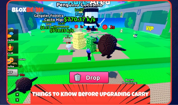 Things to Know Before Upgrading Carry