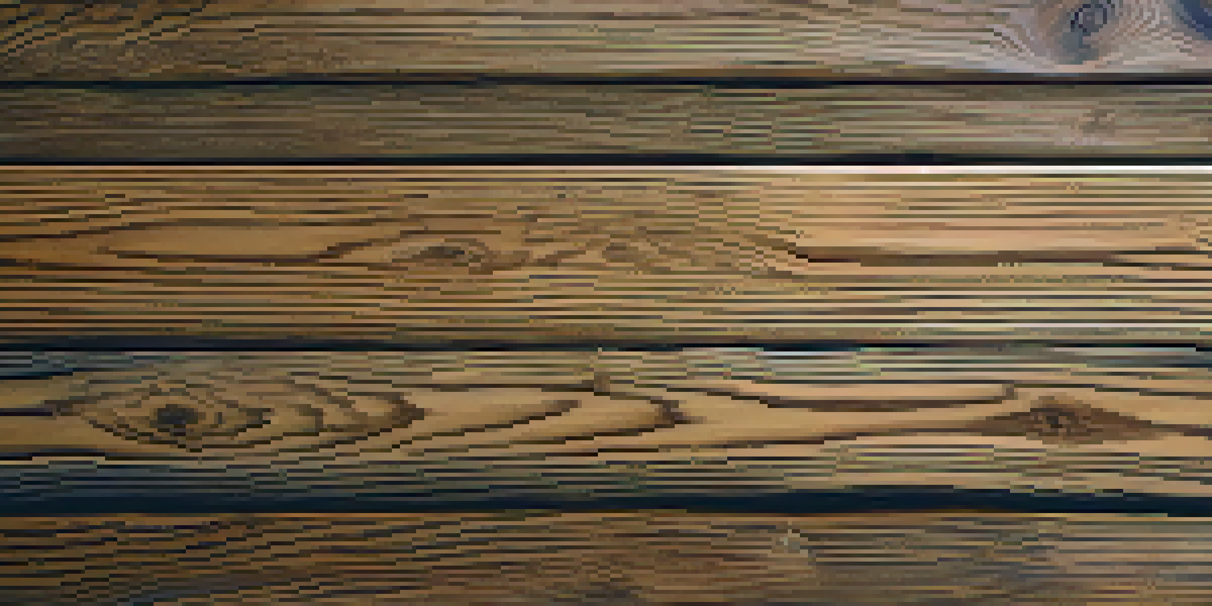 A close-up view of aged oak wood with rich patina and intricate grain patterns, illuminated by soft natural light.