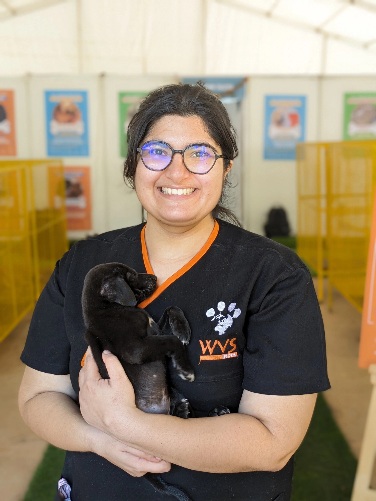 Dog at All Dogs Matter Camp