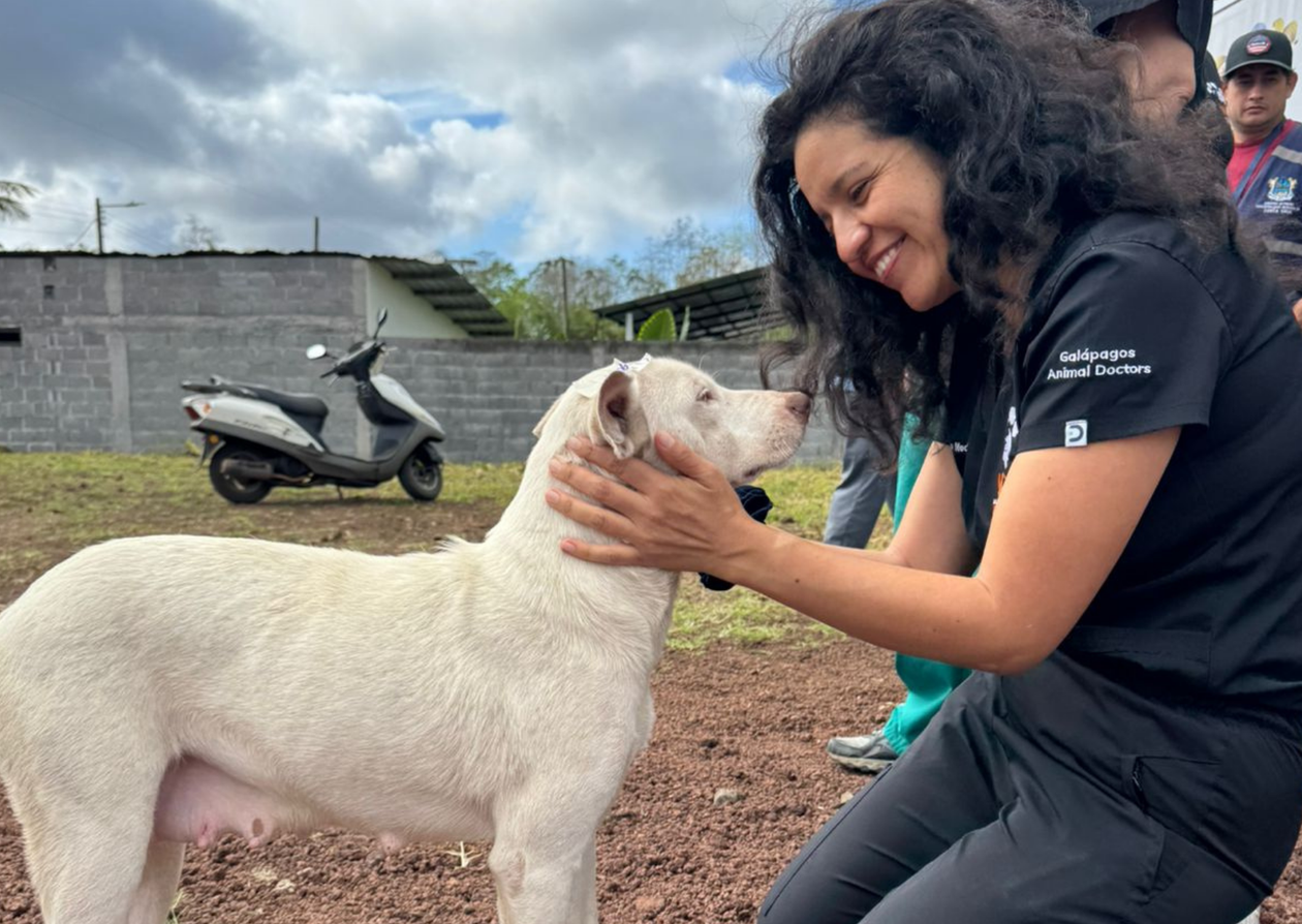 A women, a veterinarian, with a dog at a outreach clinic.