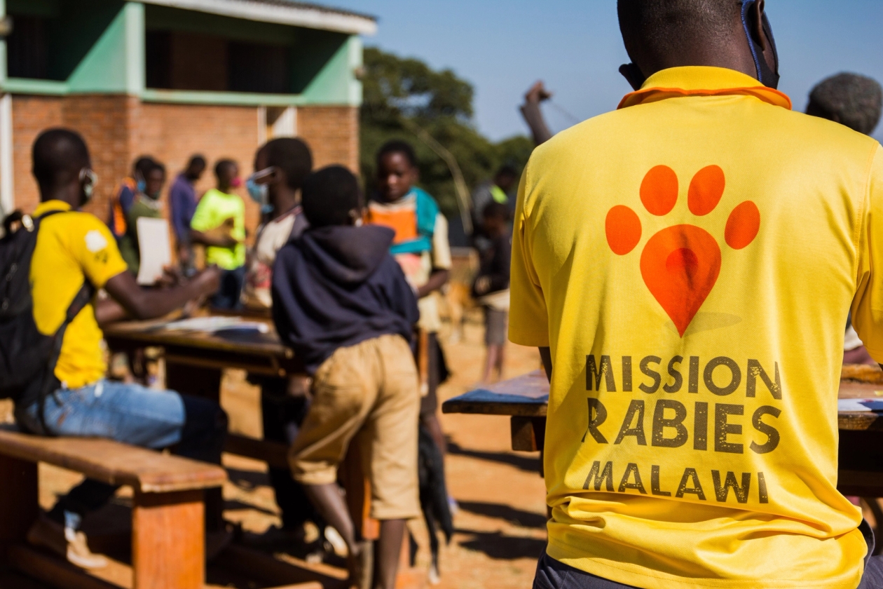 The Mission Rabies team working outside in Malawi, a WVS team member is closest, with their back to the camera, showing the Mission Rabies logo on a bright yellow tshirt