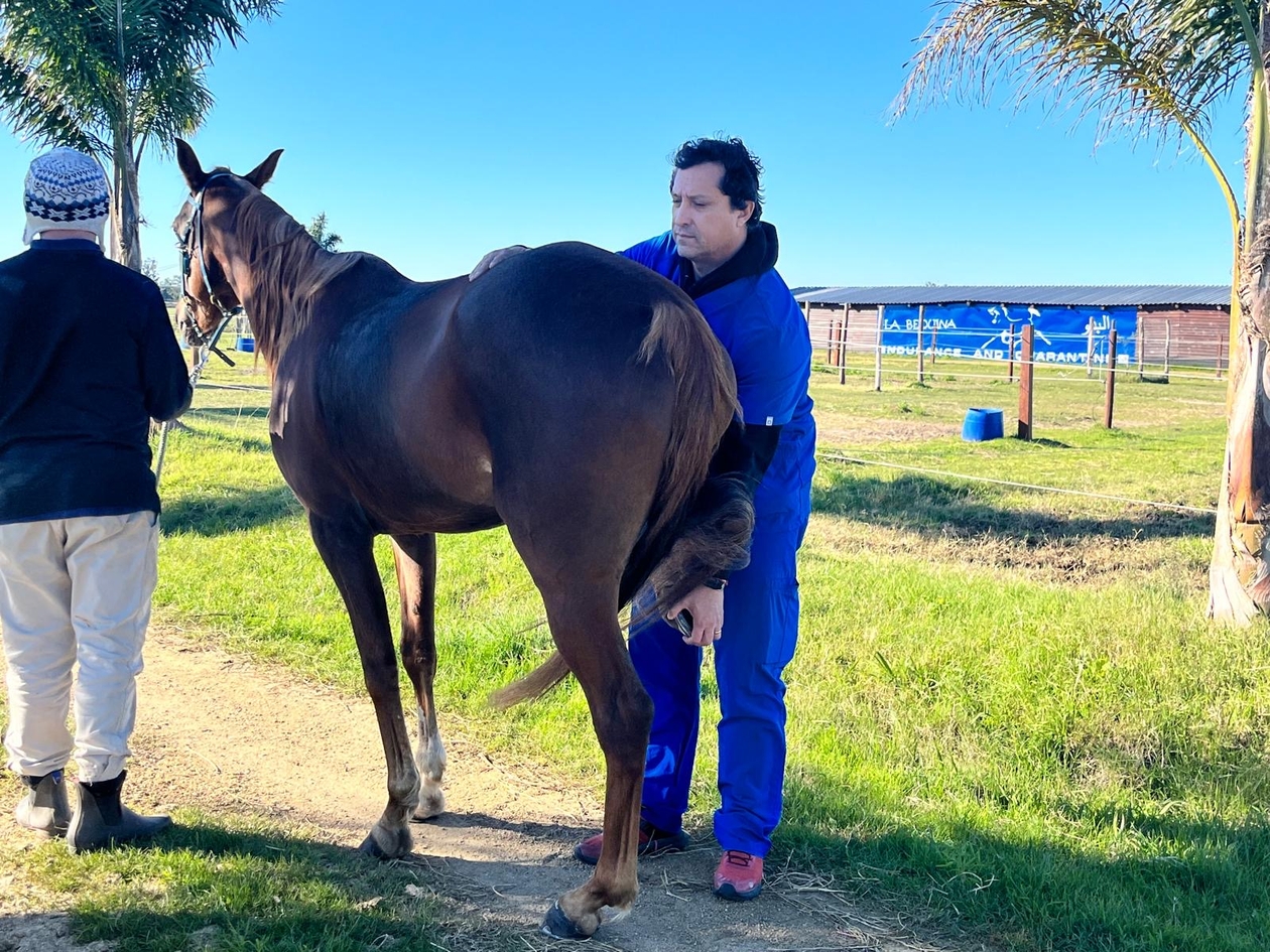 Dr Jorge with a horse