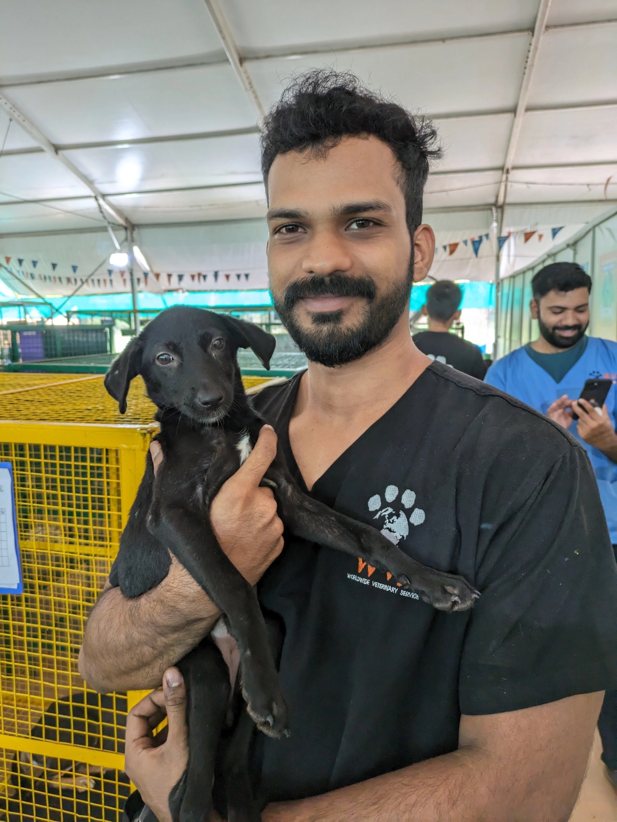 Dog at the All Dogs Matter Camp