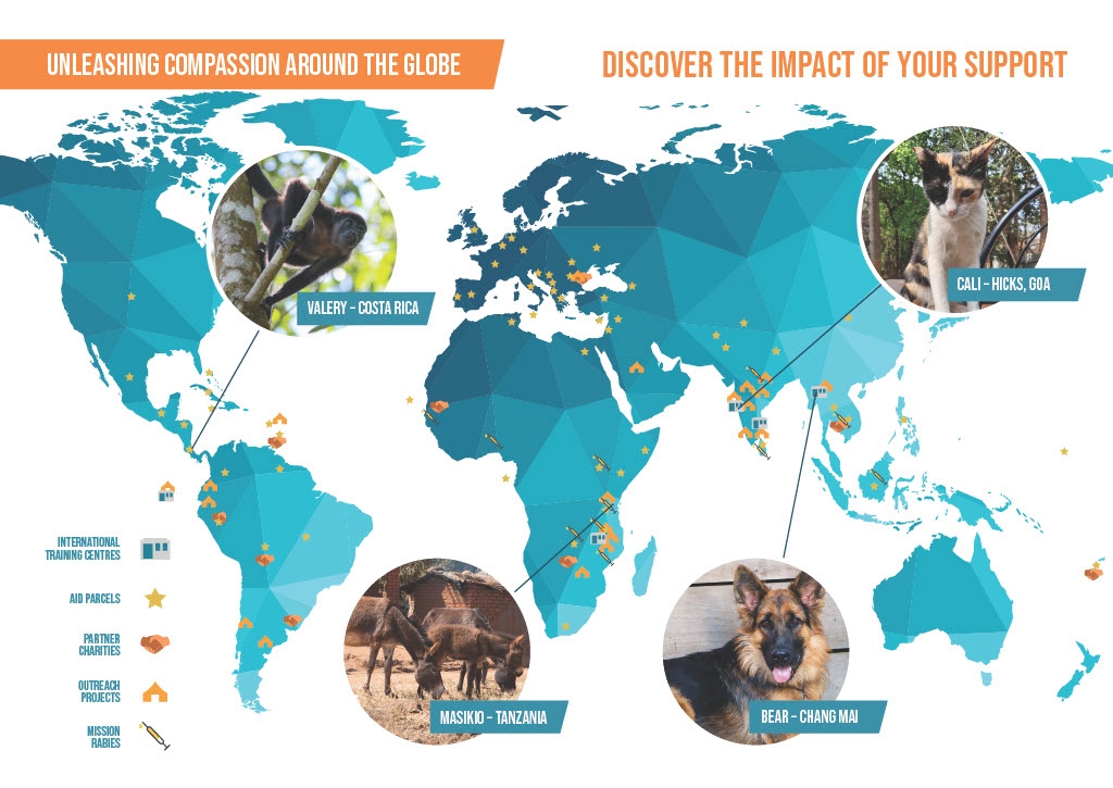 A map of the world with icons showing where WVS has helped animals.