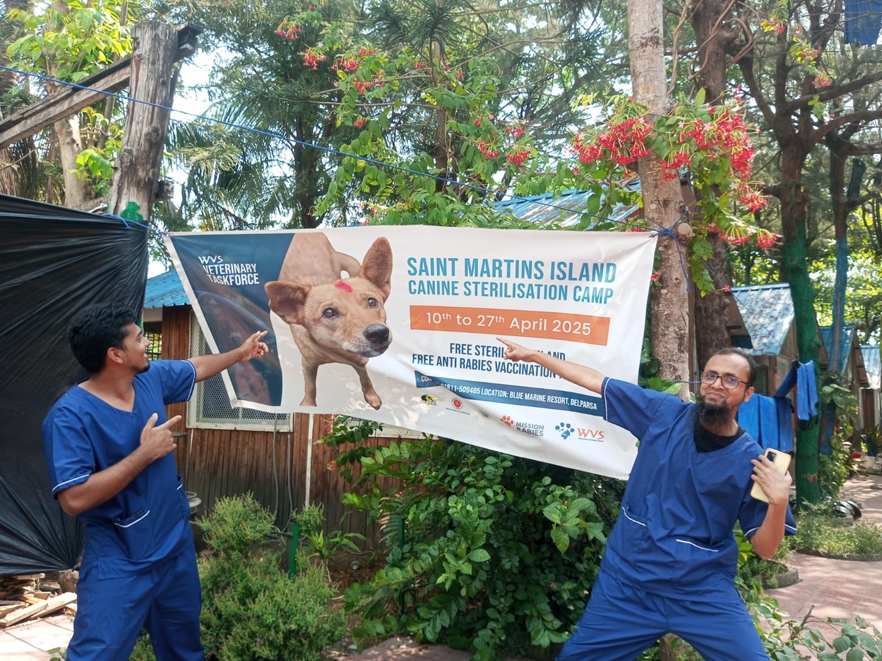 WVS team pointing at the poster for the sterilisation camp