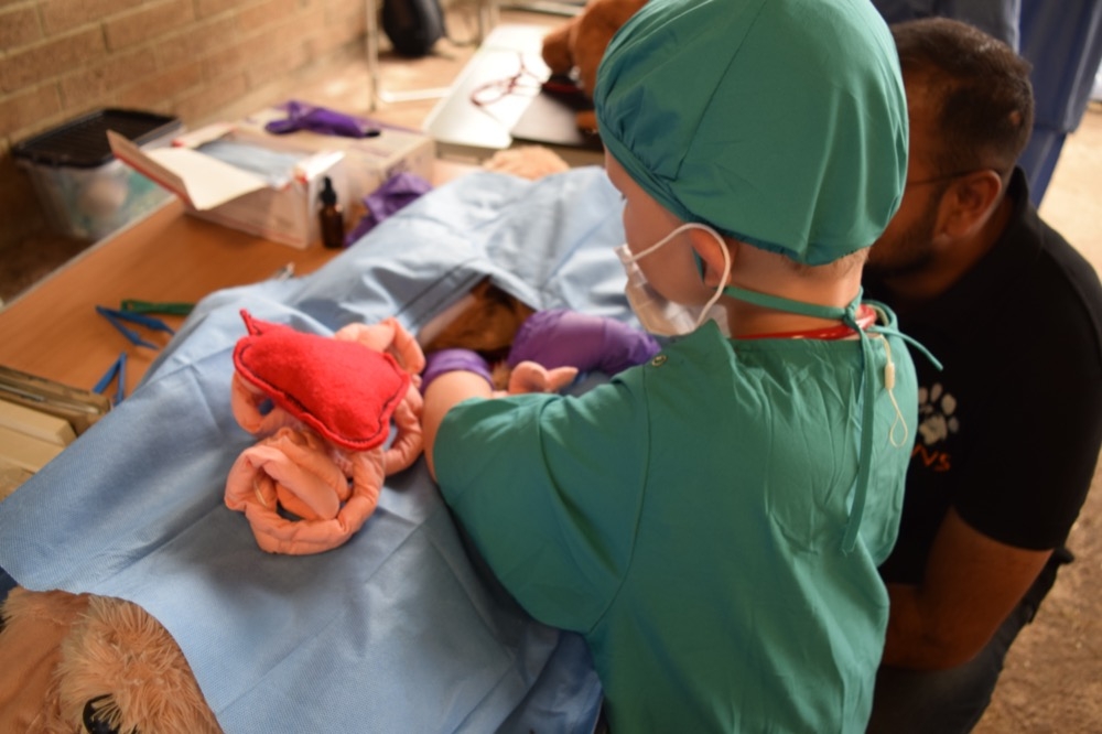 A young vet performing a practice operation