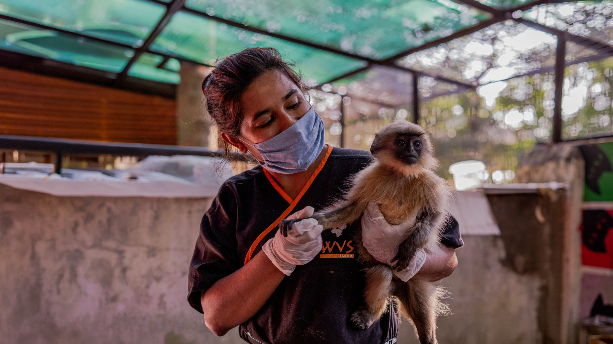 Every animal deserves a vet