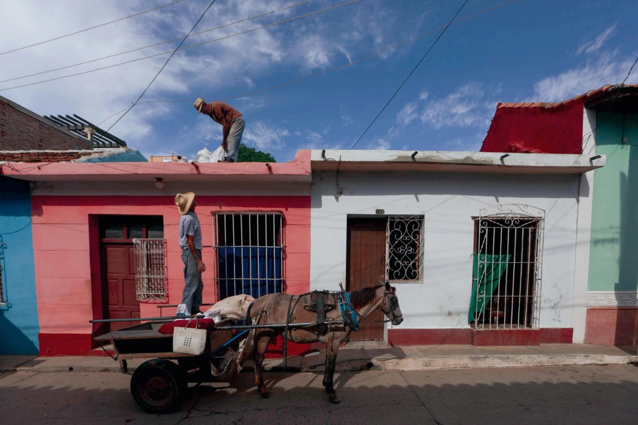 working animal horse and cart