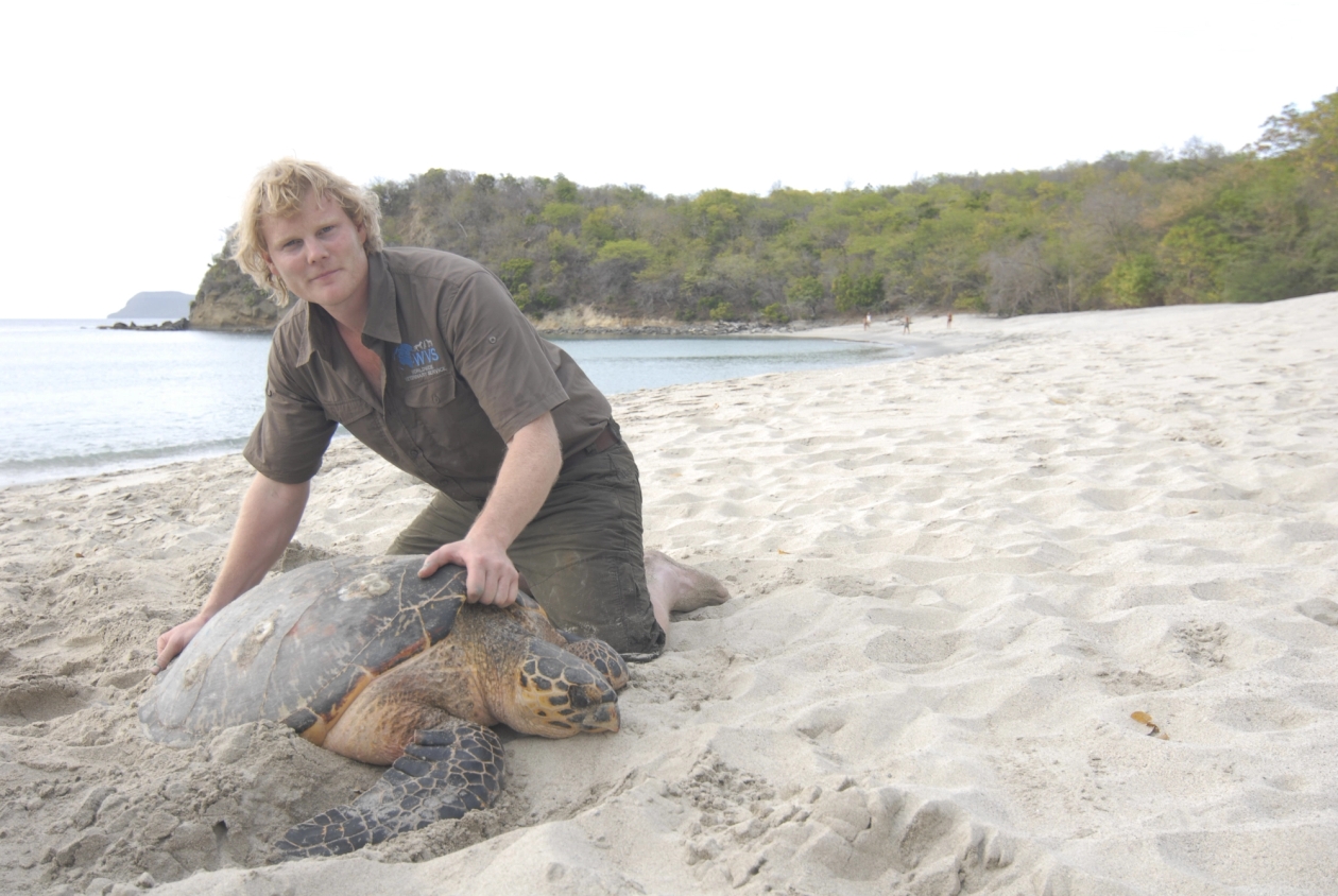 Luke Gamble with marine turtle