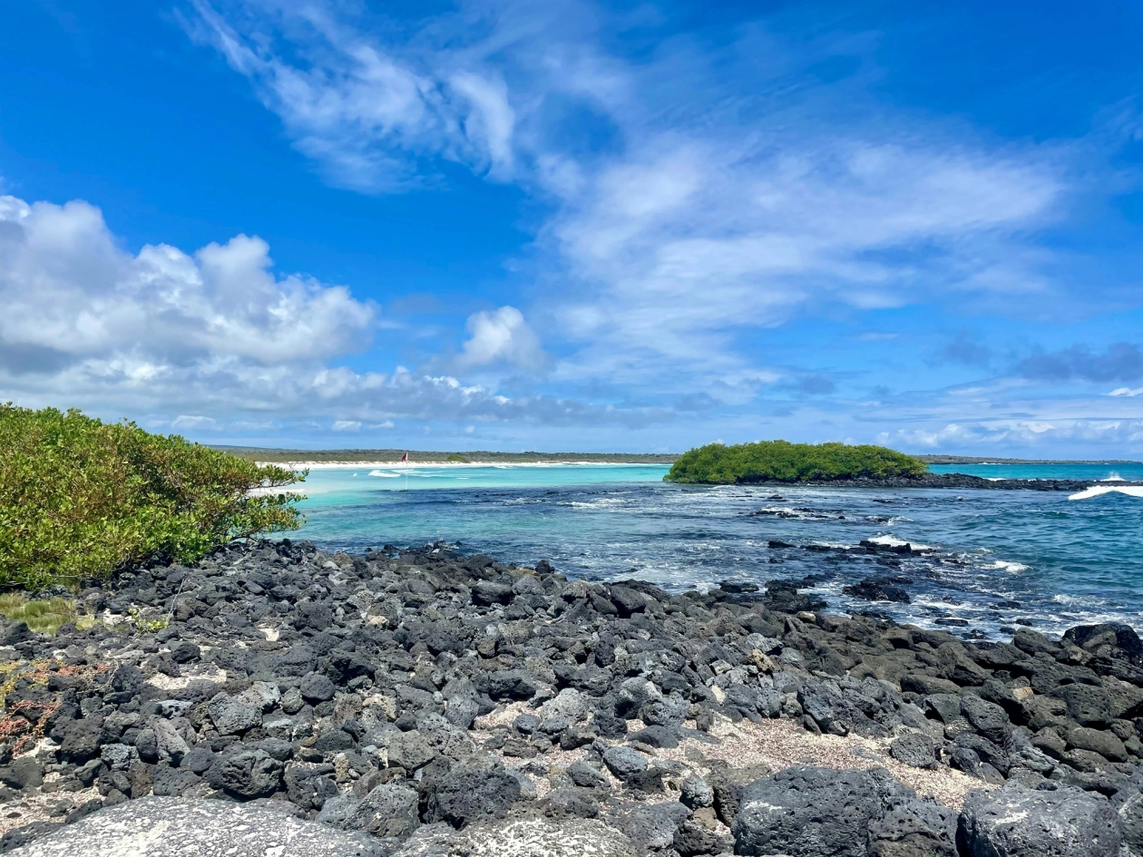 Rocky beach with a sandy coastline behind it