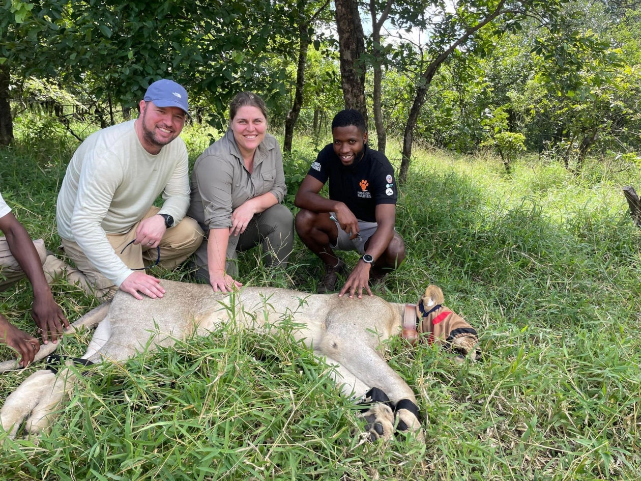WVS taskforce vet nurse and vet team treating a local dog in Malawi