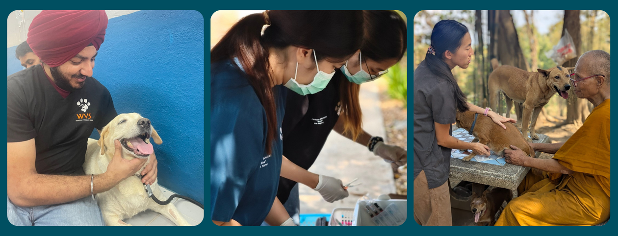 animal care team WVS indoors and outdoors