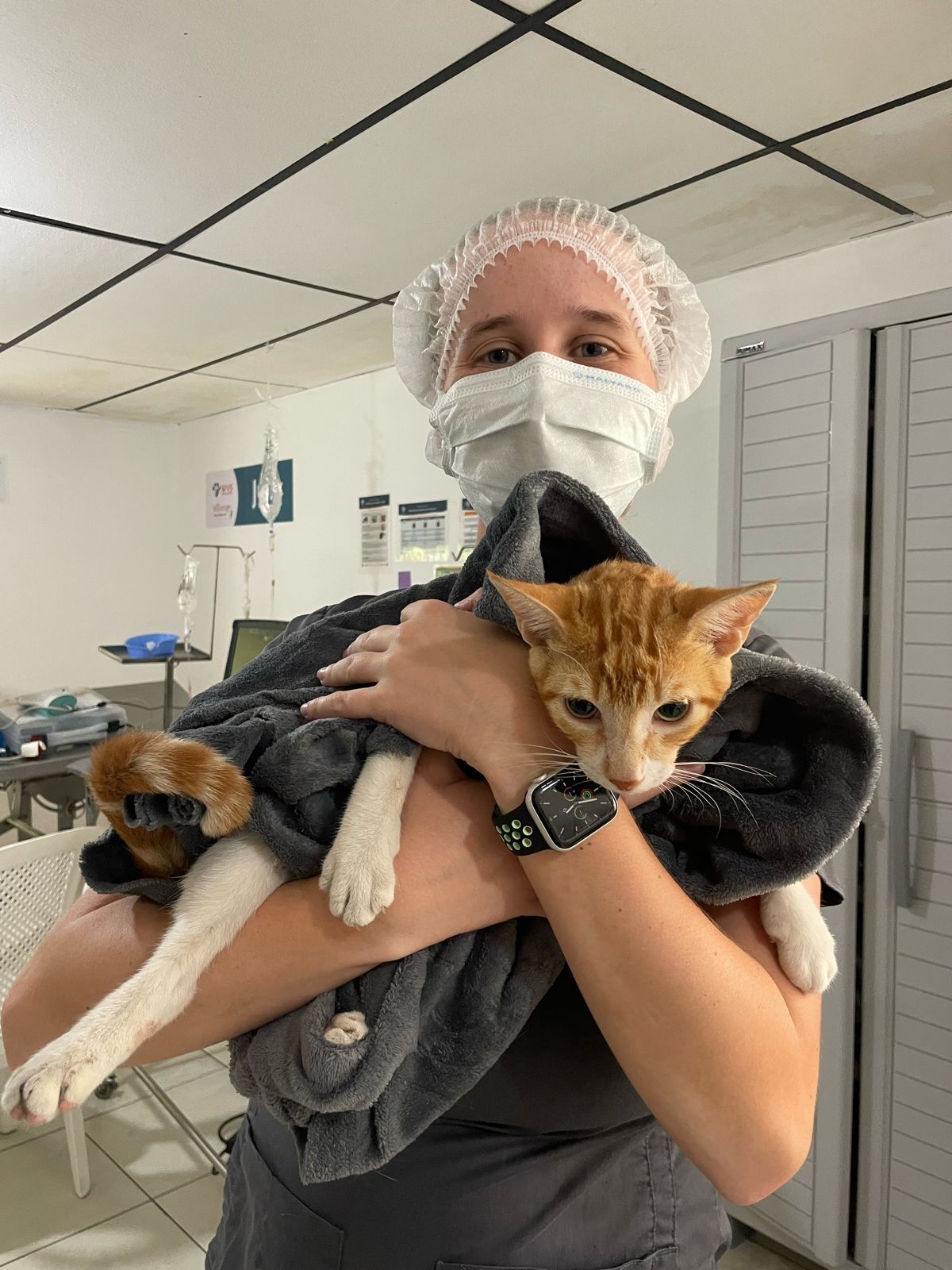 A vet nurse and one of the patients, Izzy, in the clinic on Santa Cruz Island