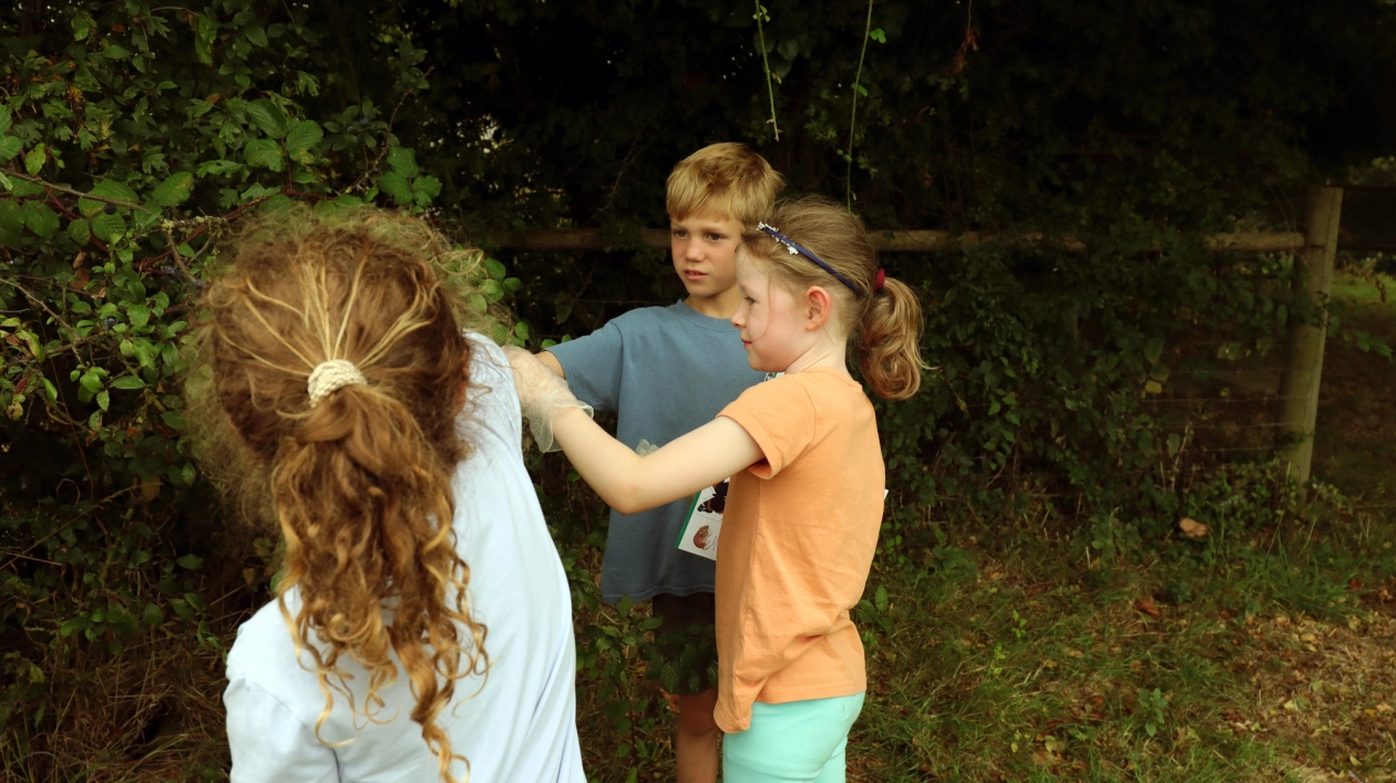 Some children wearing gloves and collecting blackberries