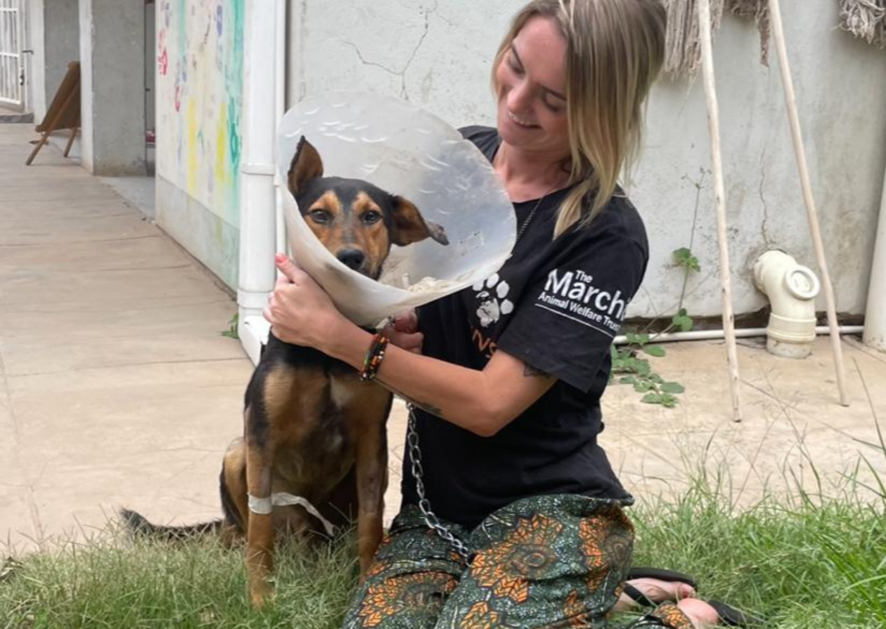 A women with a dog who a collar on.