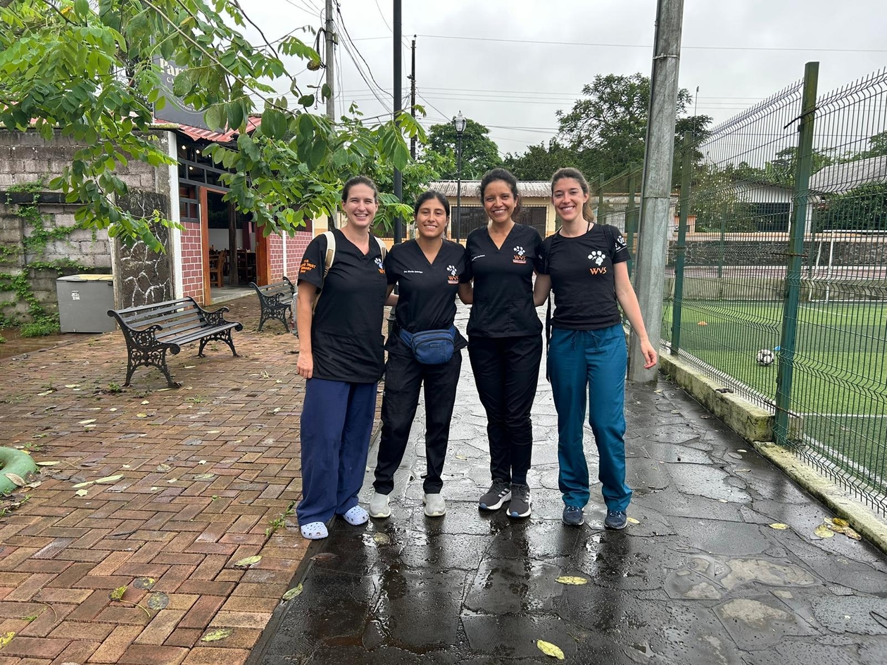 A group of smiling women in WVS shirts in an urban place