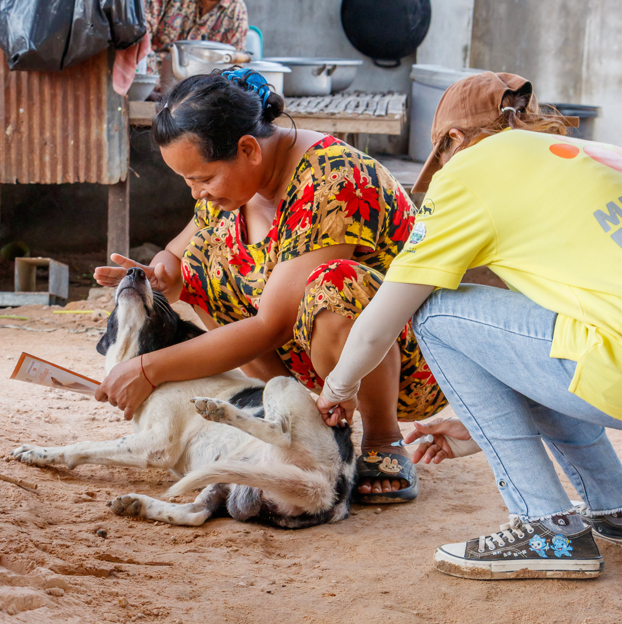 Black and white dog being vaccinated by two people