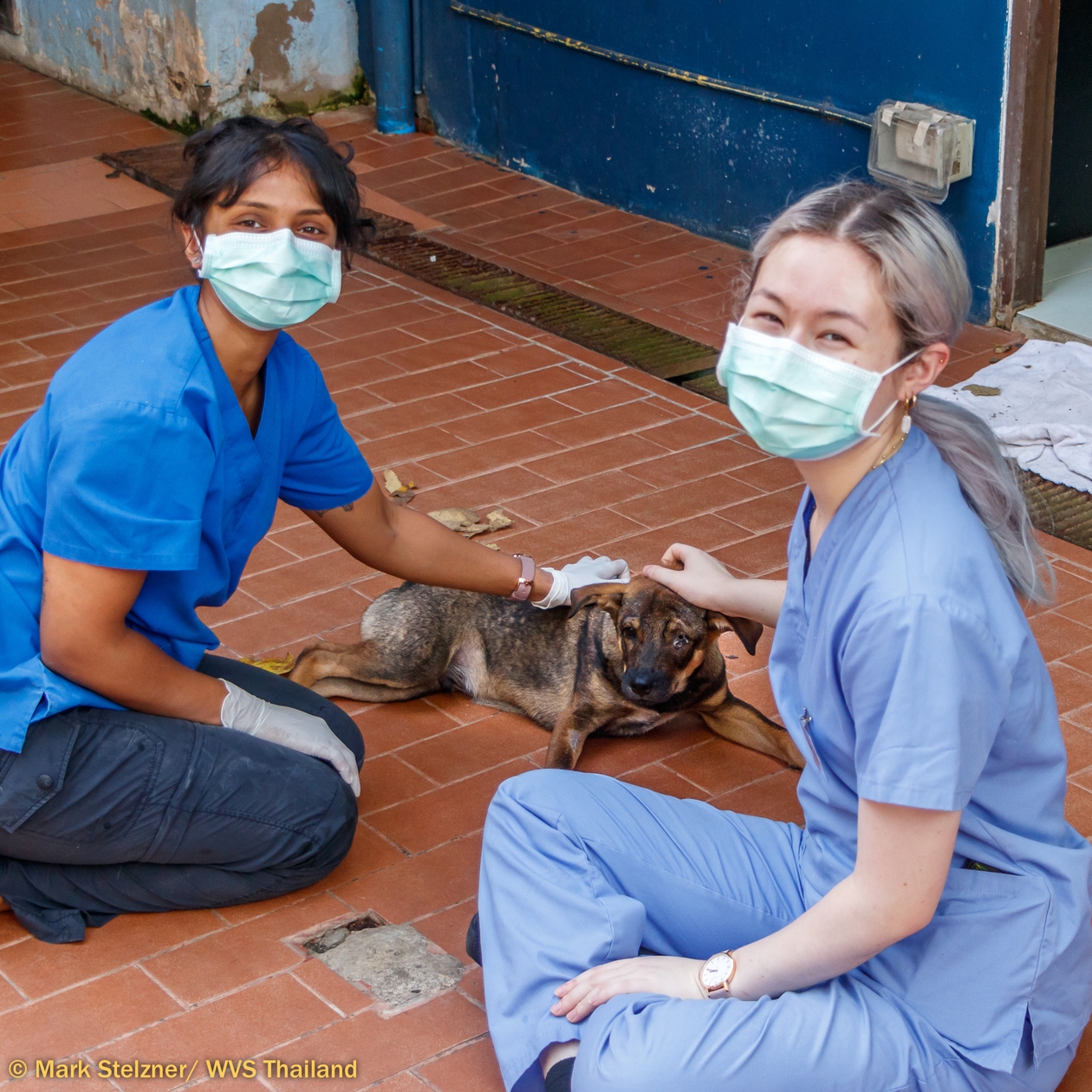 Two vet nurses sitting either side of a small brown puppy, stroking him