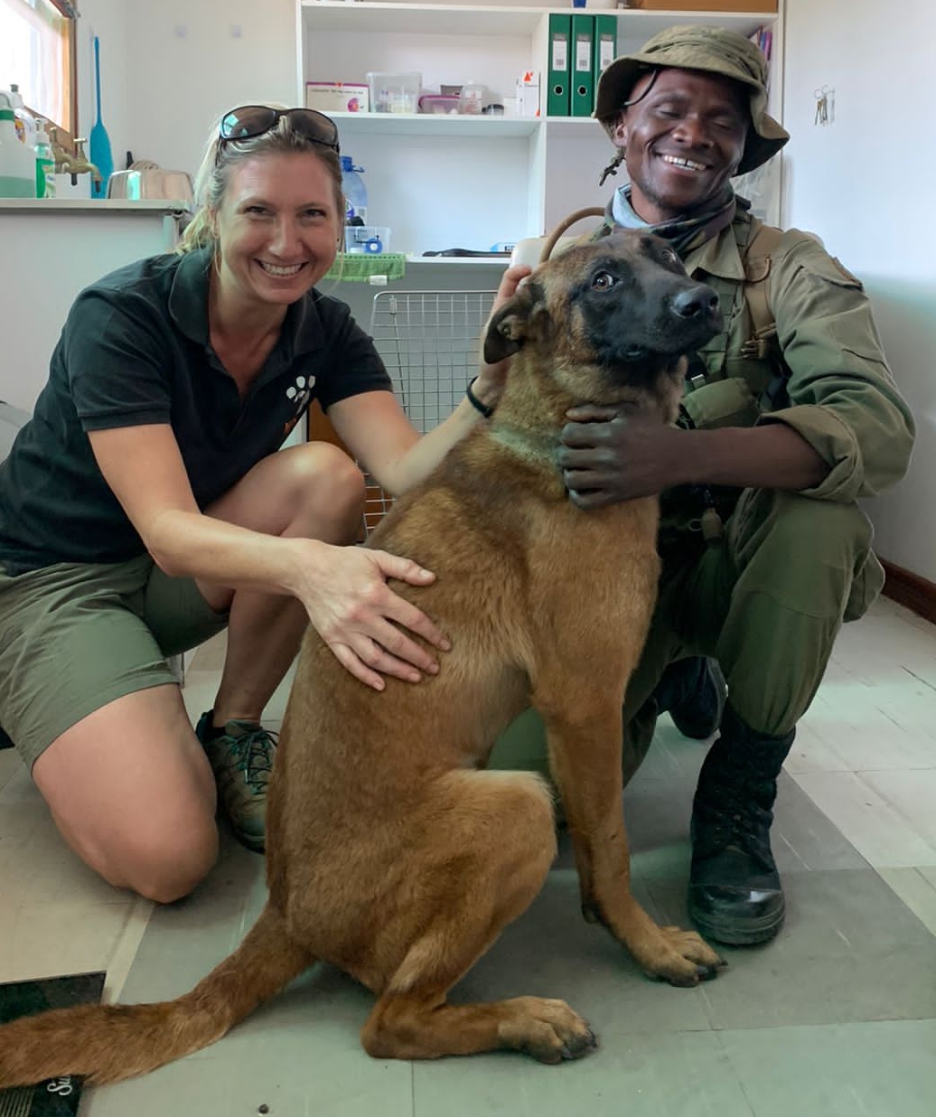 Majete canine unit dog getting a check up in a WVS clinic