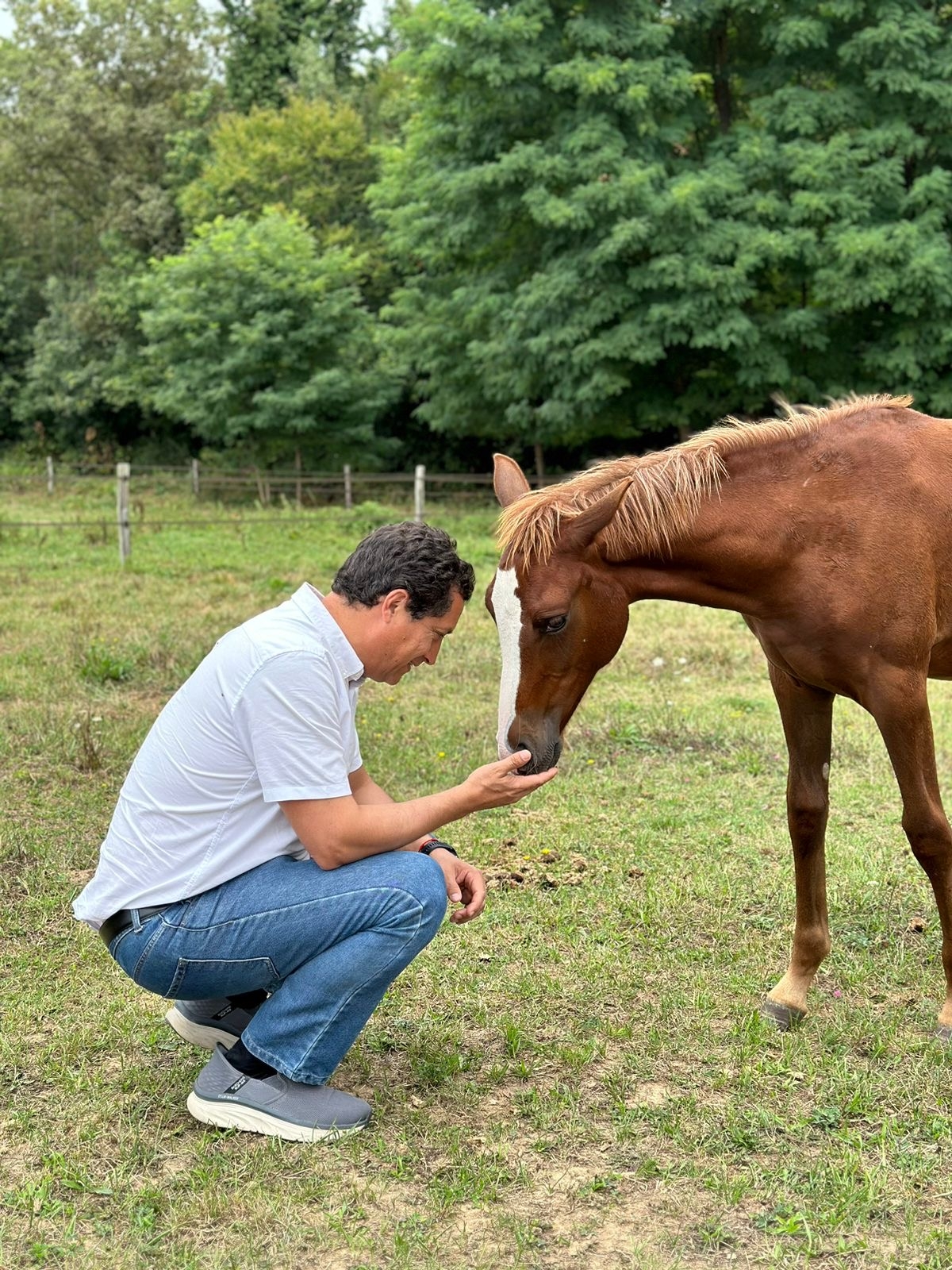 A man kneeling before a horse