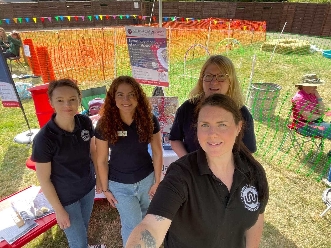 Four women who are part of the Naturewatch Foundation team at an awareness-raising stand
