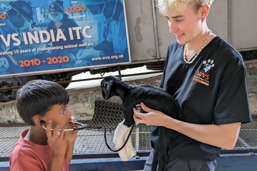 Dr Ben, a blond white man, holds a goat kid. A child, the son of the goat's owner, listens to the goat's heart with a stethoscope.