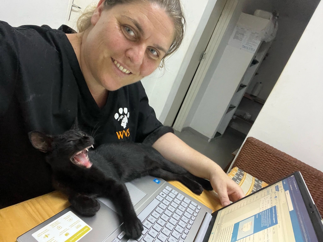 WVS taskforce vet nurse