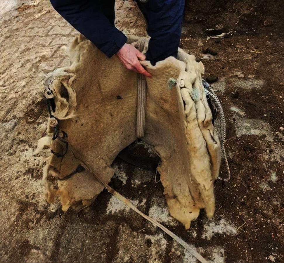 Figure 5 Multiple layers of wool padding used by traditional shepherds in Europe