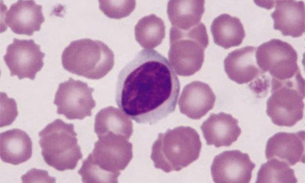 Practical pathology