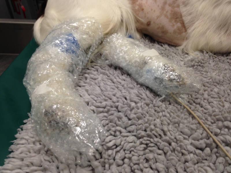 Figure 13 - Heat loss is minimised by covering the legs with insulating materials.