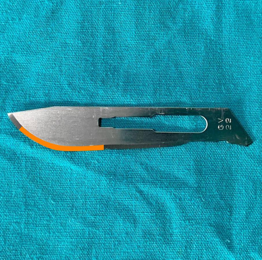 Figure 1 - Maximise contact with the cutting edge for long incisions, highlighted here in orange.