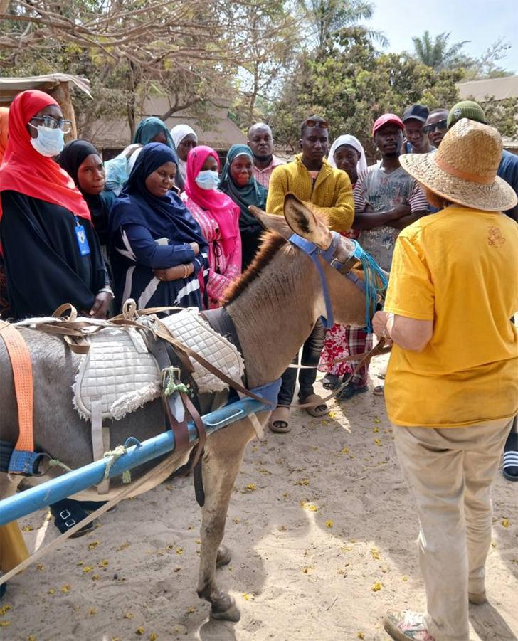Figure 1 The effect of a an overloaded cart has severe negative welfare consequences