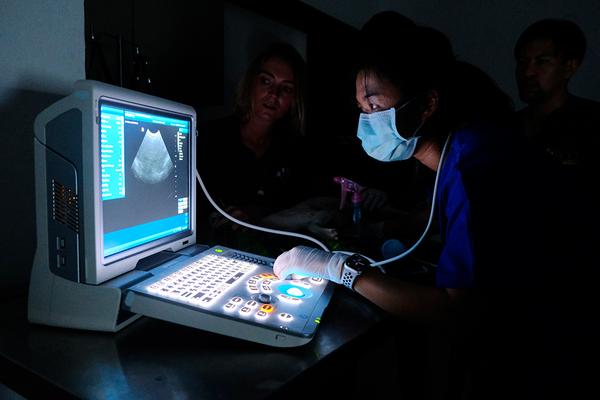 Diagnostic Imaging