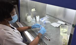 Laboratory Diagnostics