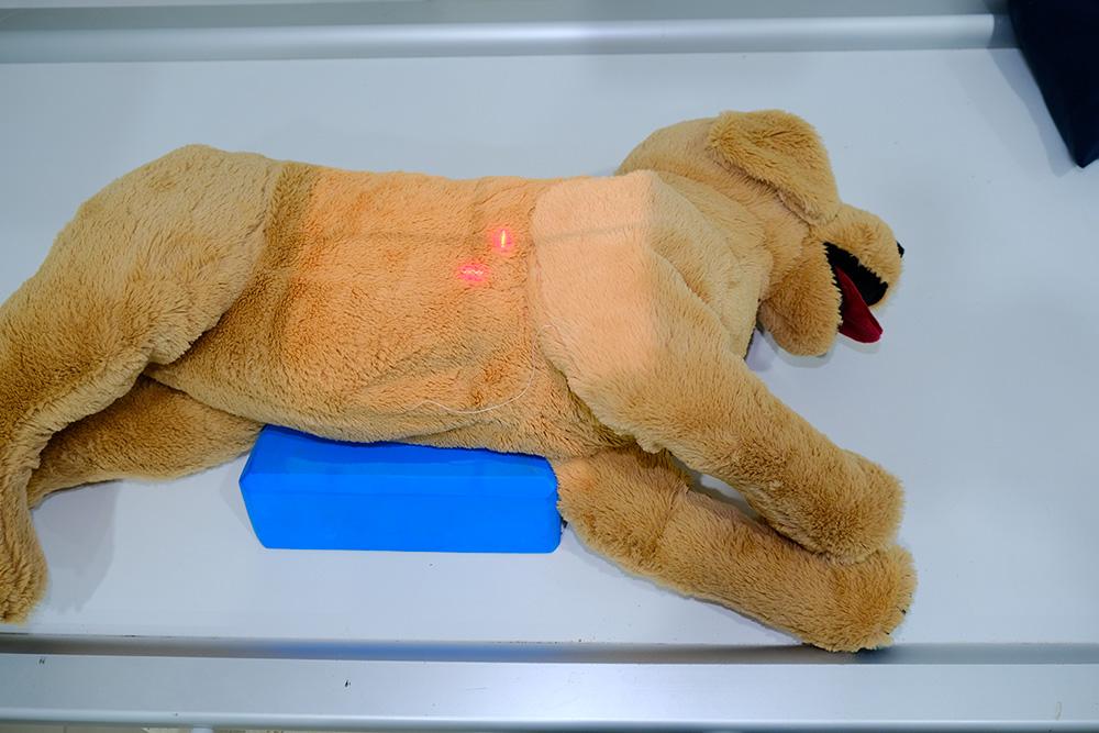 Figure 2 — Patient in left-lateral with foam wedge placed under sternum