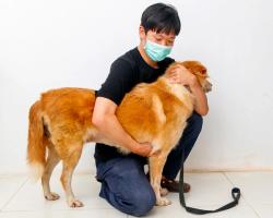 Handling for injection | Learn | WVS Academy
