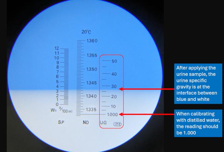 Specific Gravity Testing Urine specific gravity | Learn | WVS Academy