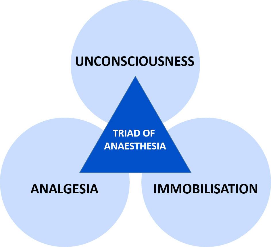 Figure 1 - The Triad of General Anaesthesia.