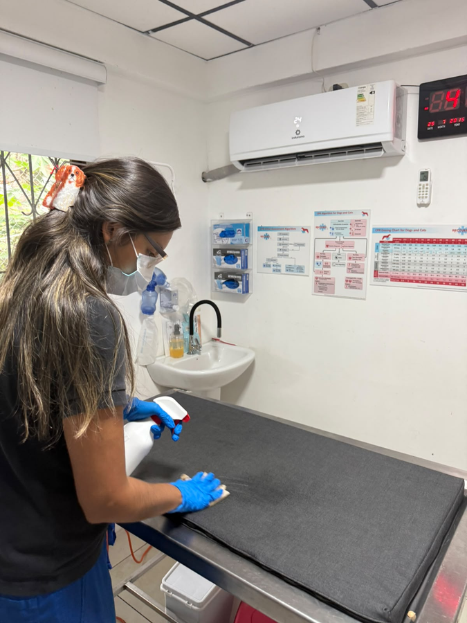 Vet cleaning a table