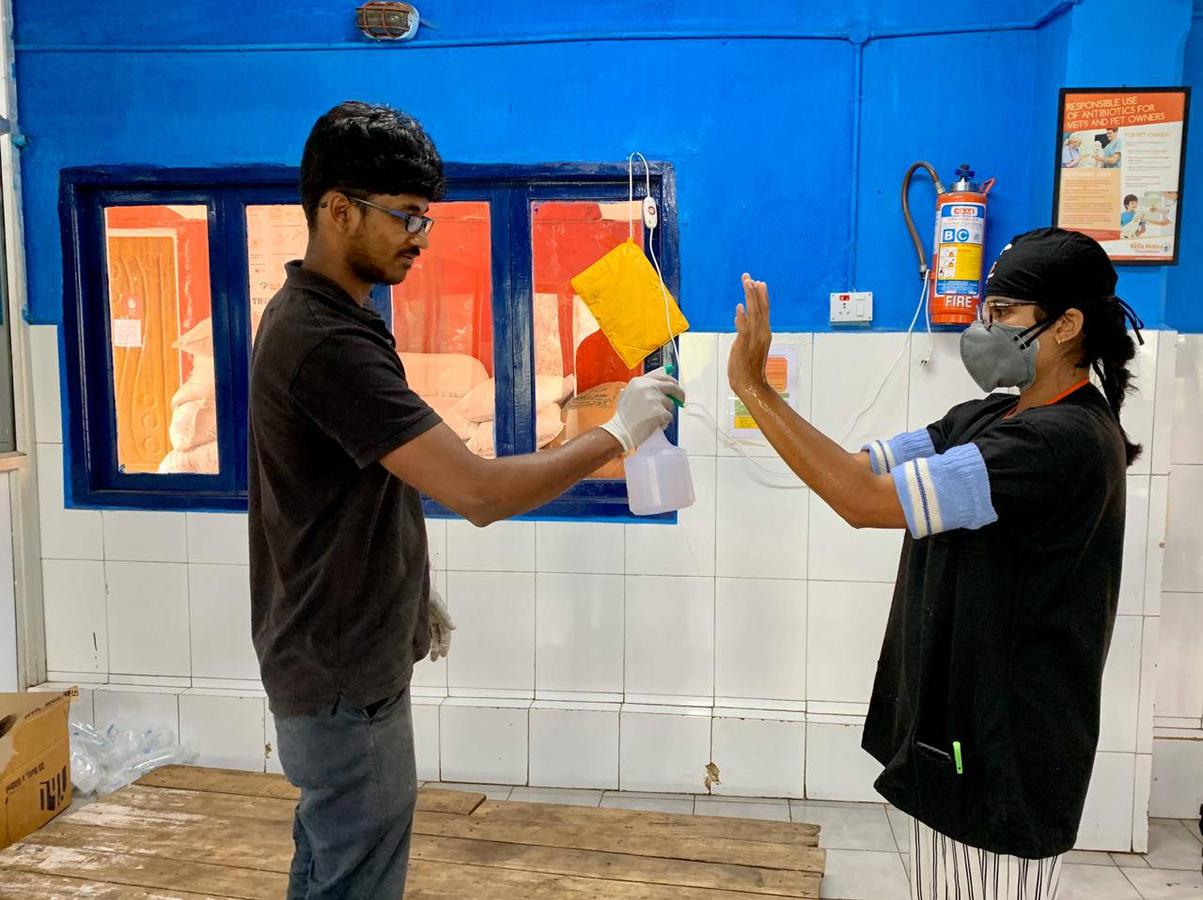 Figure 1 - An assistant spraying alcohol on the surgeon's hands and arms.