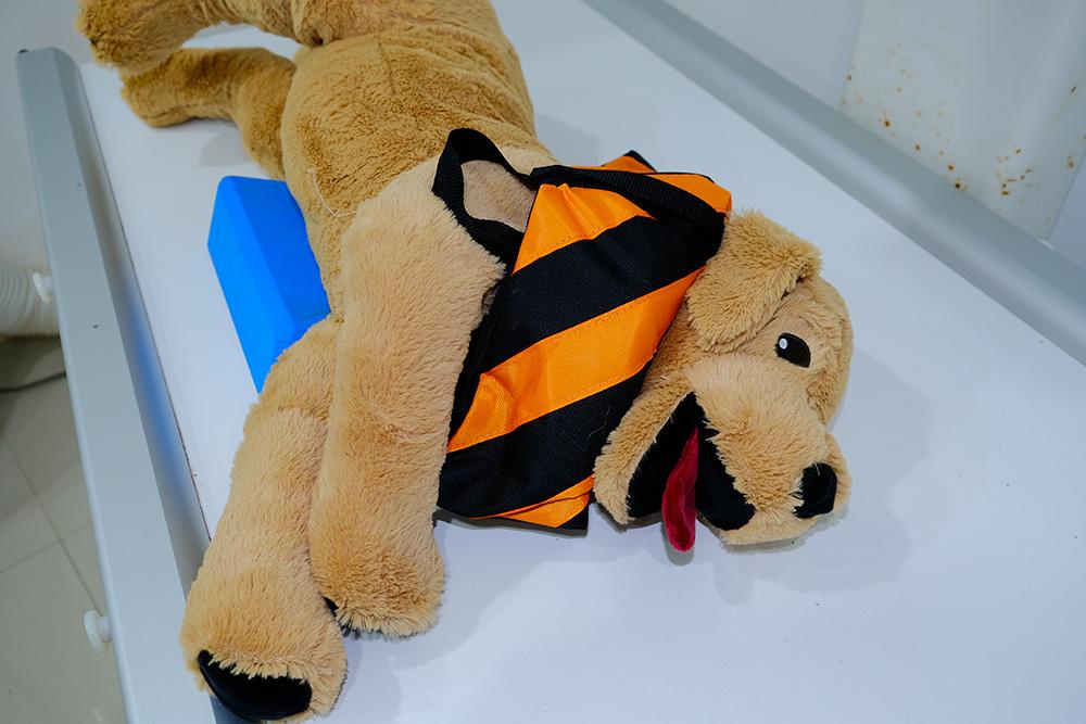 Figure 3 — Sandbag placed over patient’s neck