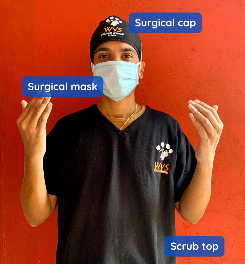 Figure 1 - A surgeon demonstrating the key, non-sterile barriers for reducing contamination of the surgical site - a clean scrub top, cap and face mask.